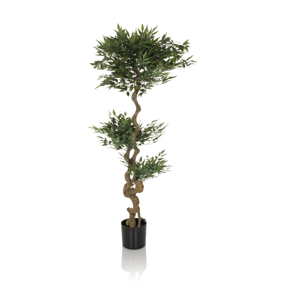 Groene Kunstplant ACACIA met gedraaide stam in een zwarte pot van hjh OFFICE – 360-gradenweergave (zijaanzicht 90°)