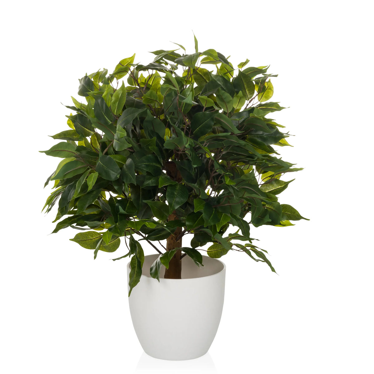 Groene Kunstplant FICUS II in een witte overpot van hjh OFFICE – 360-gradenweergave (vooraanzicht 0°)