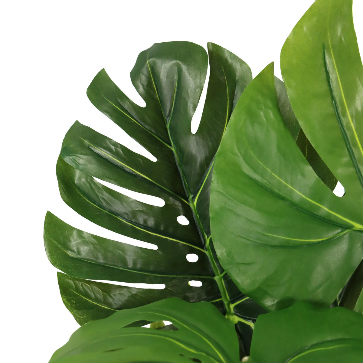 Groene bladeren van de Kunstplant MONSTERA I van hjh OFFICE
