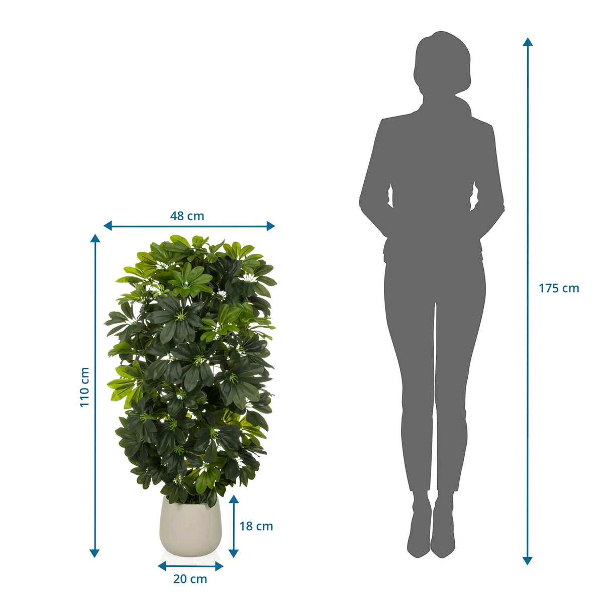Maattekening van de Kunstplant Schefflera 2 met een hoogte van 110 cm en breedte van 48 cm van hjh OFFICE