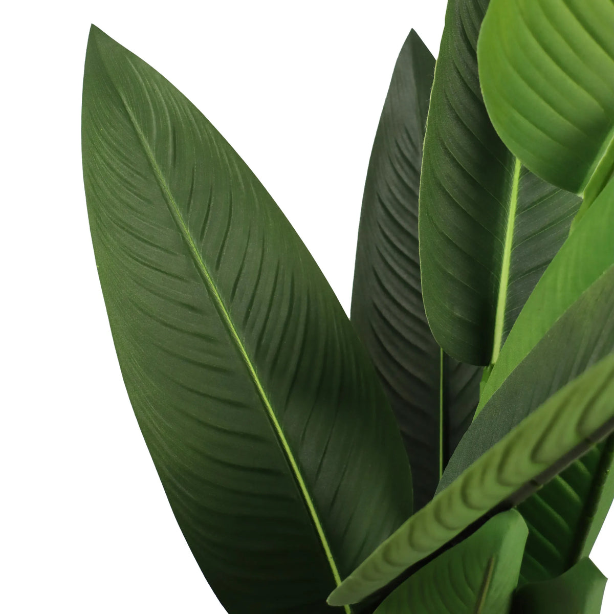 Groene bladeren van de Kunstplant STRELITZIA van hjh OFFICE