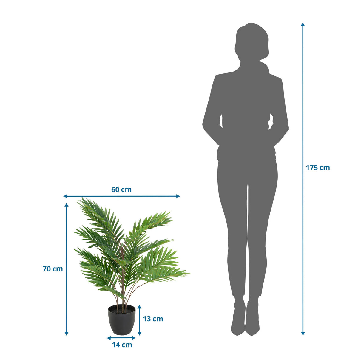 Maattekening van de Kunstplant ARECA met een hoogte van 70 cm en breedte van 60 cm van hjh OFFICE