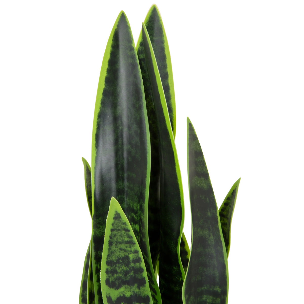 Groene bladeren van de kunstplant SANSEVIERIA met donkergroene patronen van hjh OFFICE