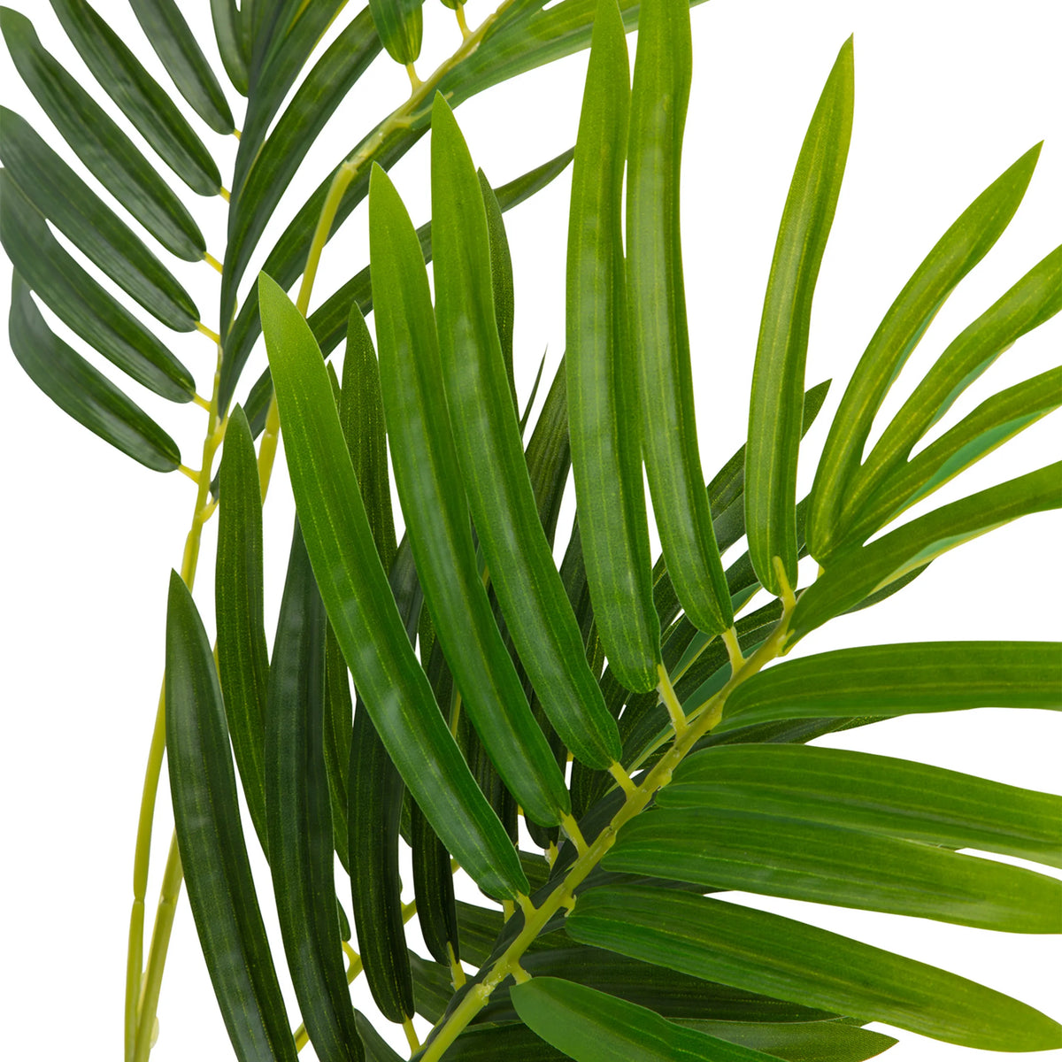 Groene bladeren van de kunstplant ARECA I van hjh OFFICE