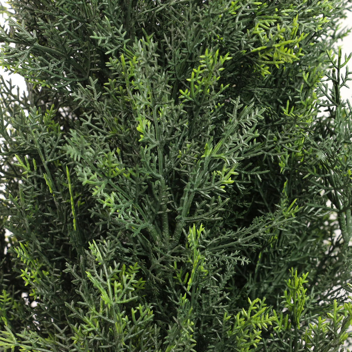 Groene naaldtakken van de kunstplant CEDRUS van hjh OFFICE