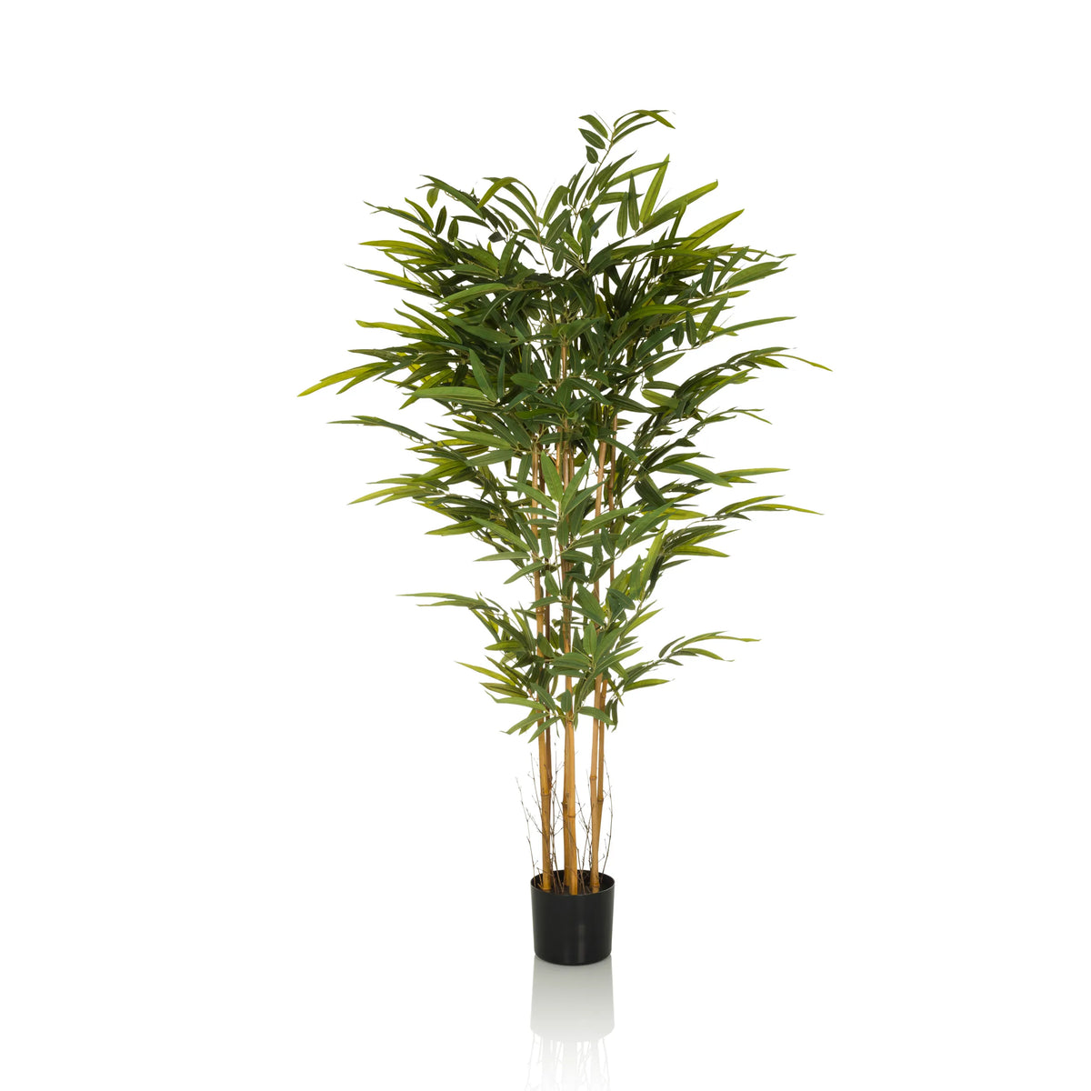 Groene Kunstplant BAMBUS II in de vorm van een bamboe met zwarte plantenpot van hjh OFFICE – 360-gradenweergave (zijaanzicht 90°)