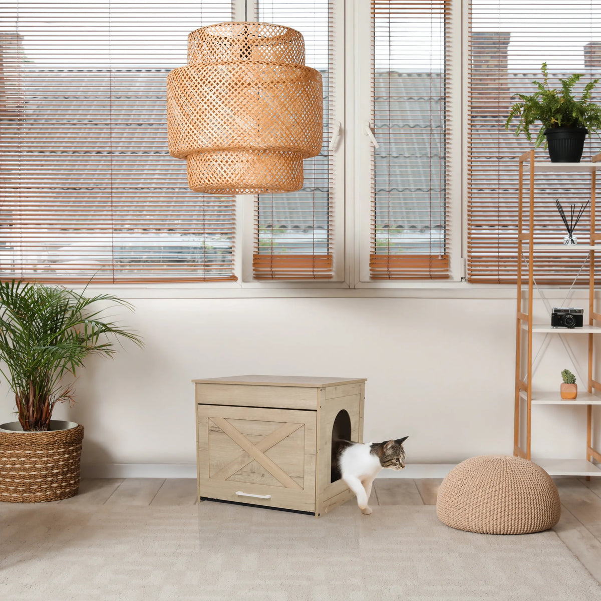 Kattenhuis KITTY PAWBOX 1 in eikenlook met cirkelvormige opening en versiering aan de voorzijde van hjh LIVING
