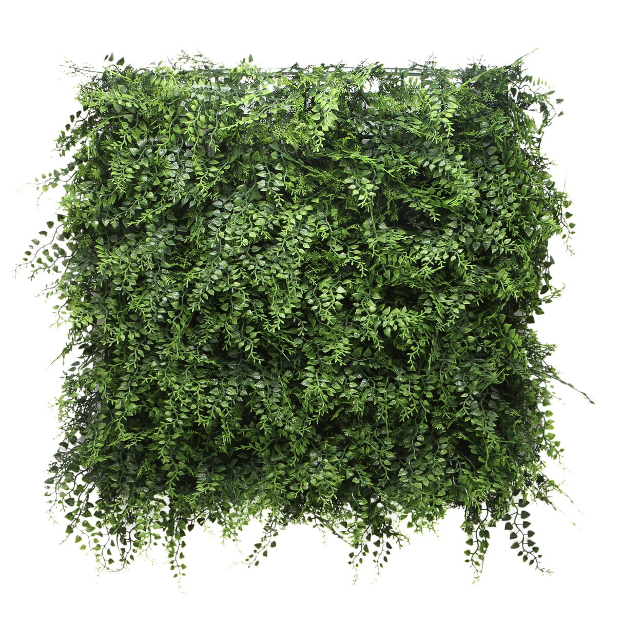 LEAFLUXE 2 - Plantmat