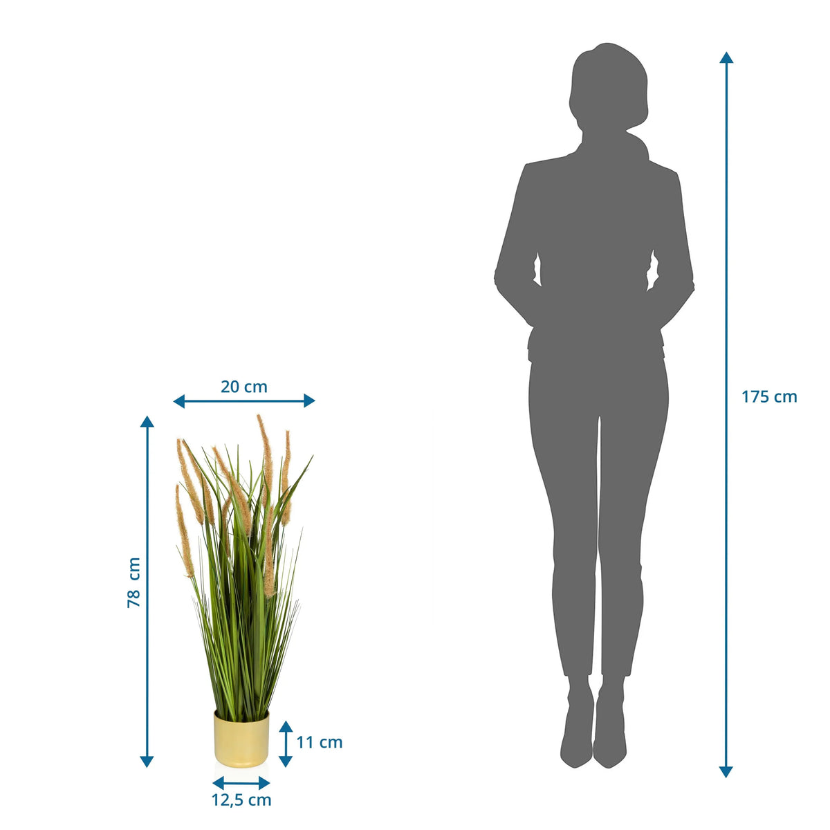 Maataanzicht van de Kunstplant CORTADERIA I met een totale hoogte van 78 cm van hjh OFFICE