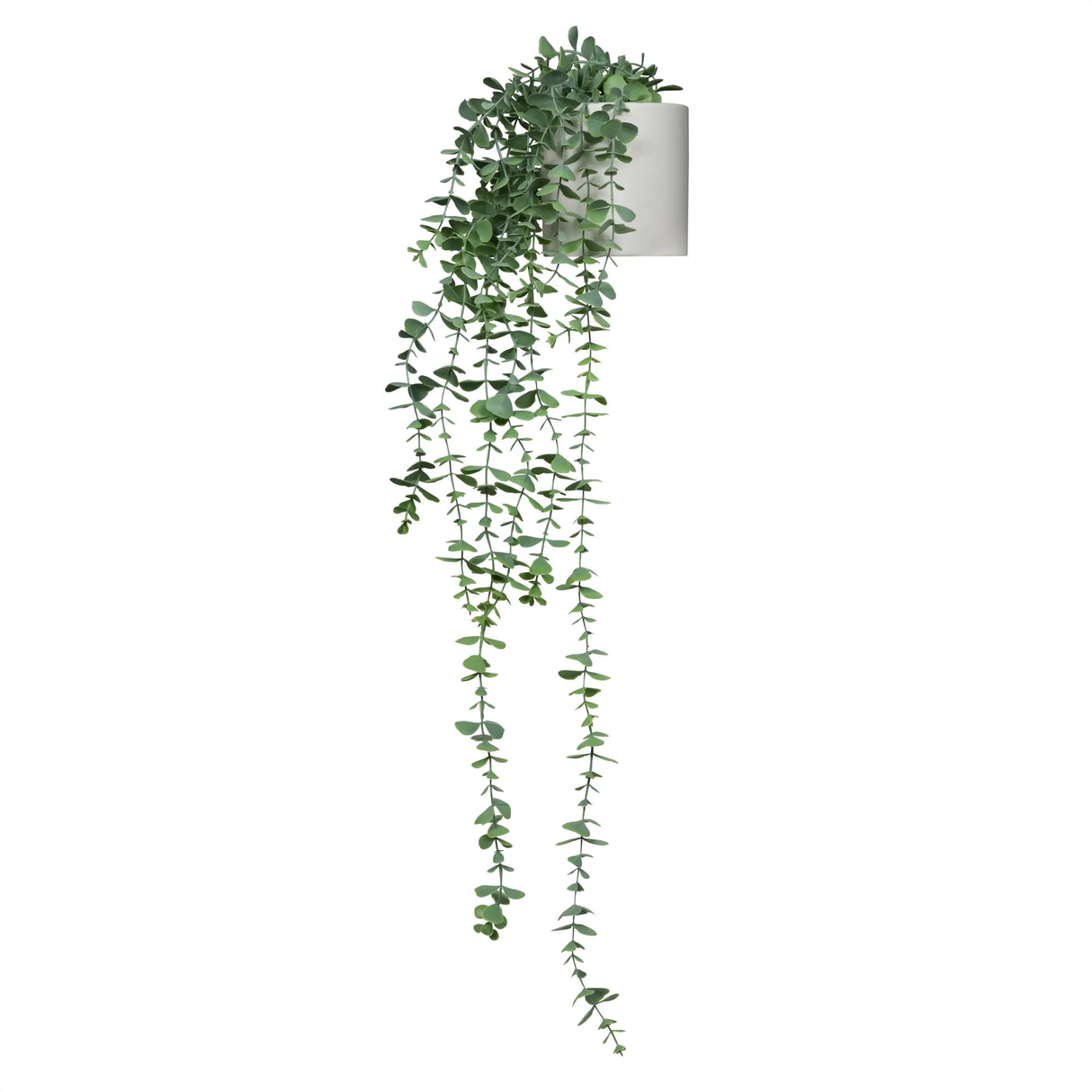 EUCALYPTUS CLIMB - Kunstplant