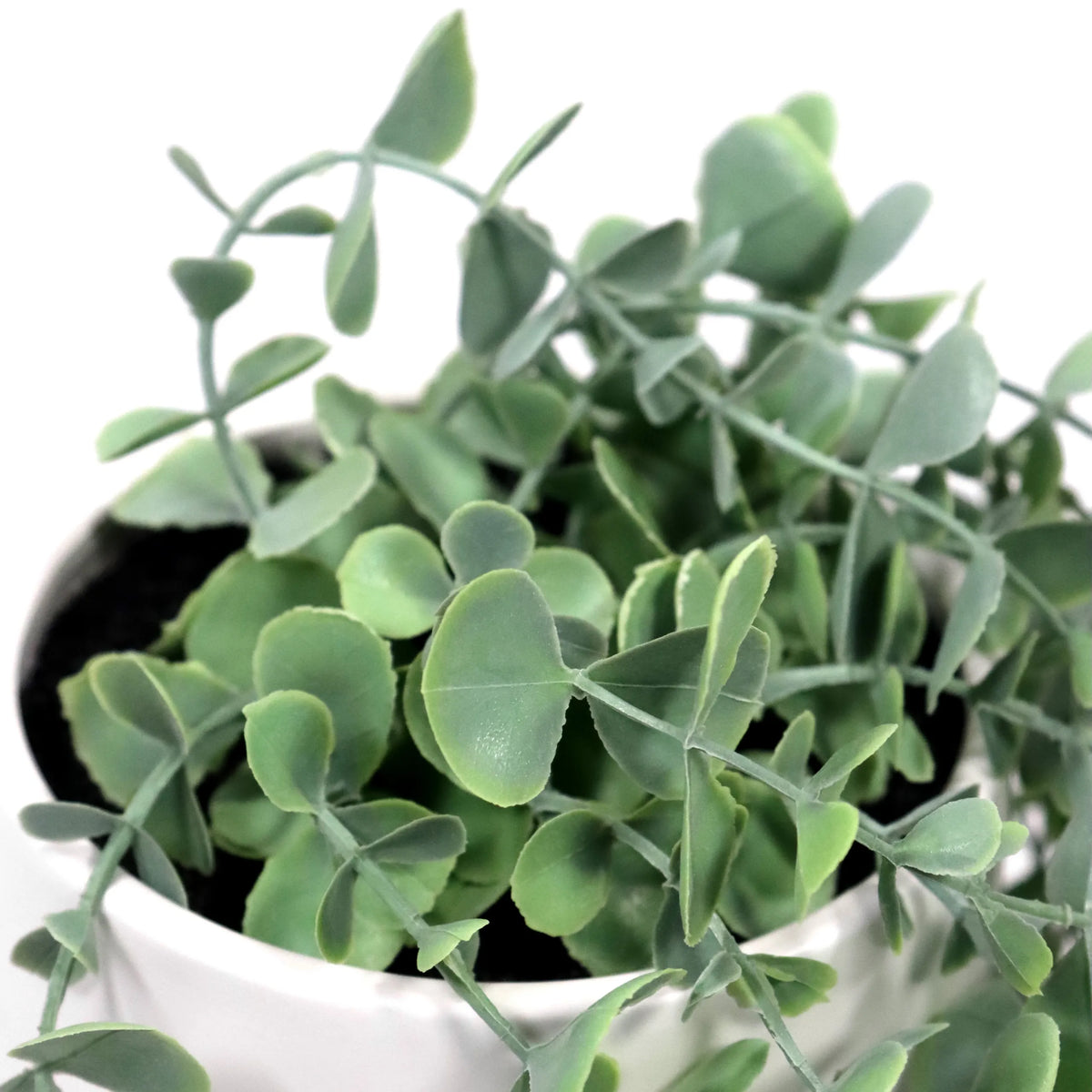 Groene bladeren van de EUCALYPTUS CLIMB kunstplant in een witte pot van hjh OFFICE