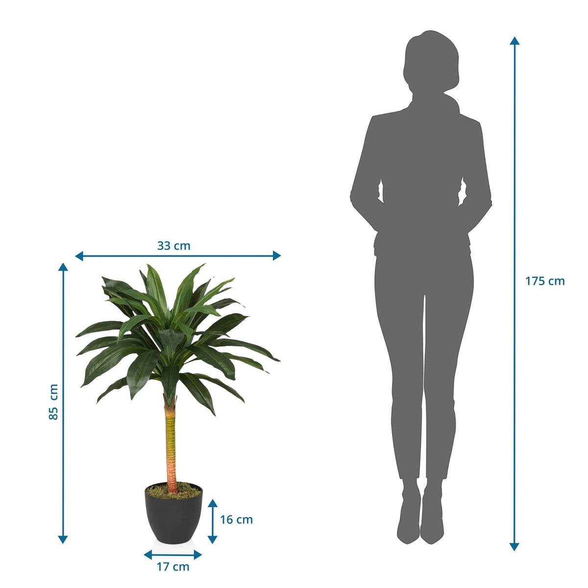 Maattekening van de Kunstplant DRACAENA I met een hoogte van 85 cm en breedte van 33 cm van hjh OFFICE