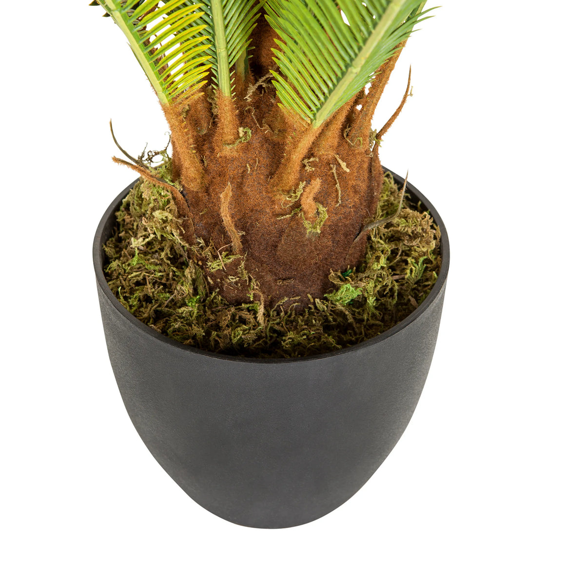 Stam en zwarte buitenpot van de Kunstplant CYCAS van hjh OFFICE