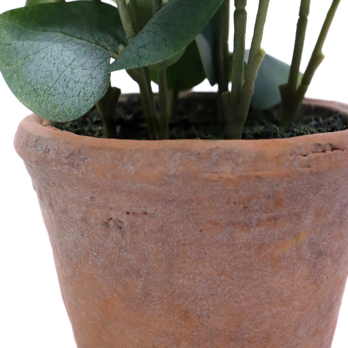 Terracotta pot van de Eucalyptus kunstplant met groene bladeren van hjh OFFICE