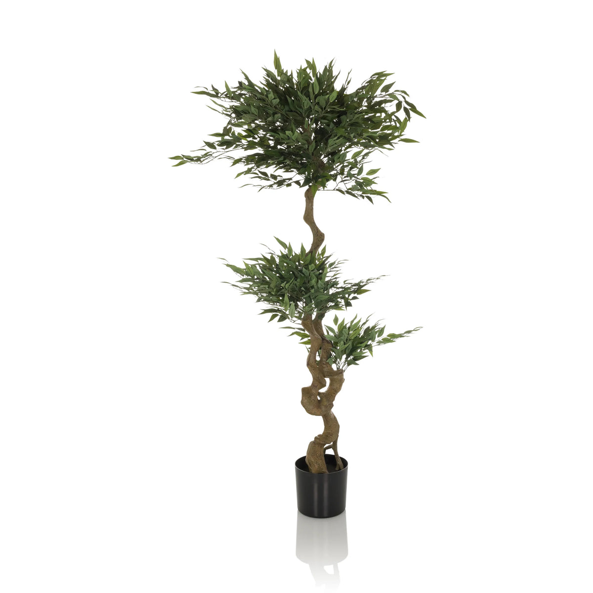 Groene Kunstplant ACACIA met gedraaide stam in een zwarte pot van hjh OFFICE – 360-gradenweergave (vooraanzicht 0°)