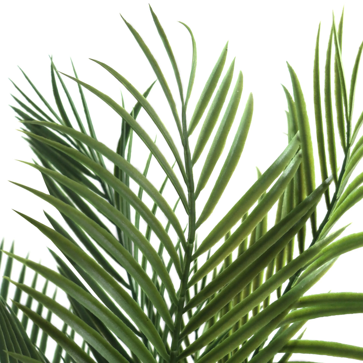 Groene bladeren van de kunstplant DRACAENA van hjh OFFICE