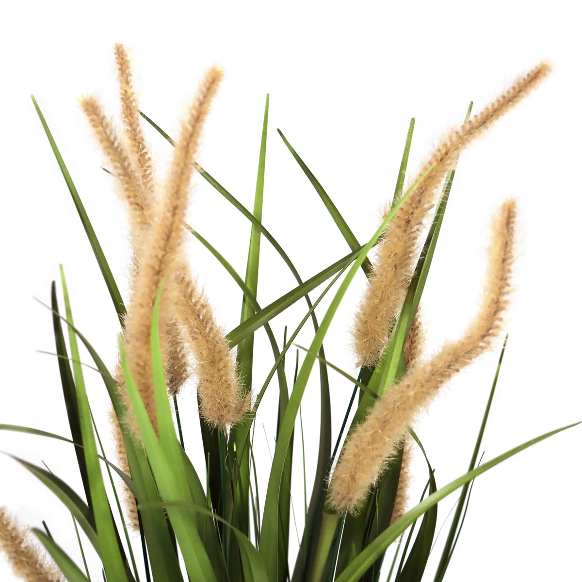Beige-groene grassen van de CORTADERIA I kunstplant met pluizige bloeiwijzen van hjh OFFICE