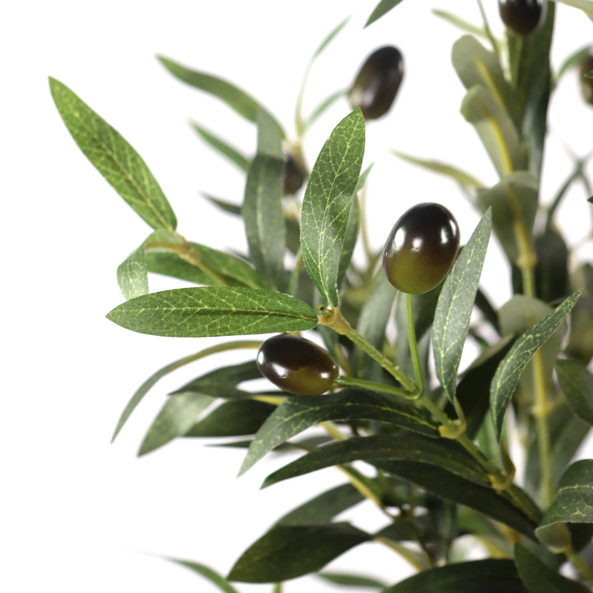 Groene bladeren en donkere olijven van de Kunstplant OLIVE I van hjh OFFICE