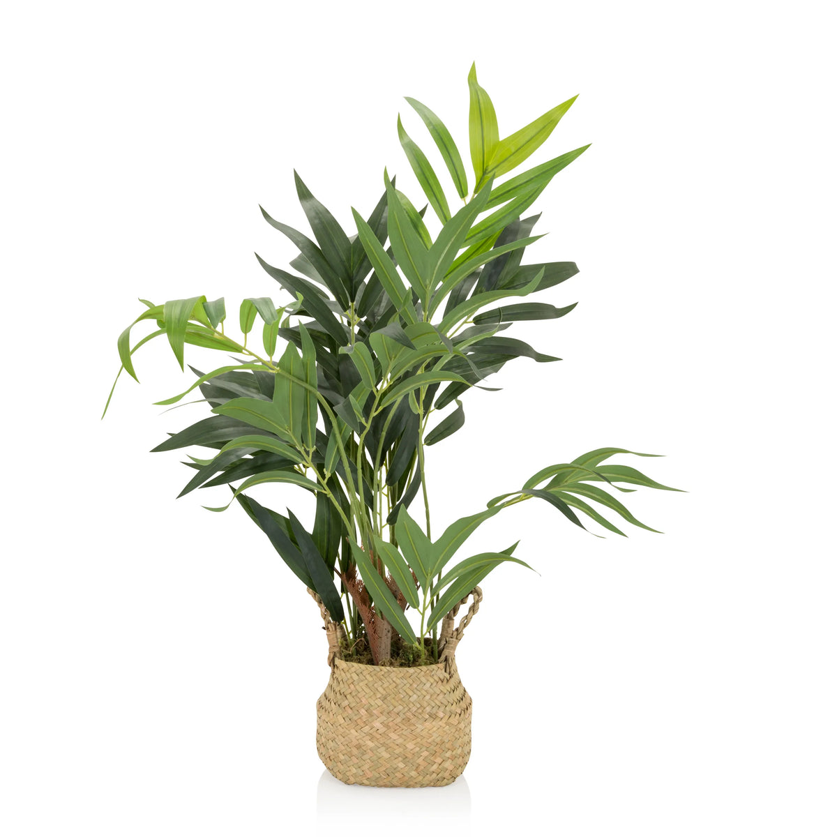 Groene Kunstplant CHAMAEDOREA in een gevlochten pot van natuurmateriaal van hjh OFFICE – 360-gradenweergave (vooraanzicht 0°)