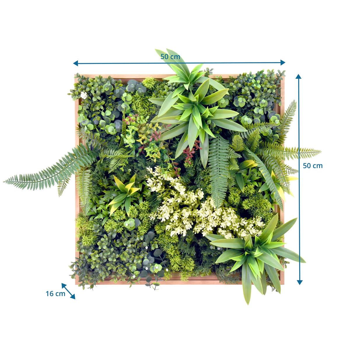 Maattekening van de Plantmat LEAFLUXE WALL 1 met 50 × 50 cm en 16 cm diepte van hjh LIVING