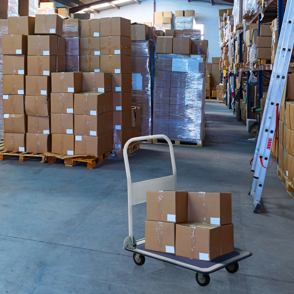 Platformwagen CARRY in blauw en wit met vier zwenkwielen en beladen dozen van hjh OFFICE