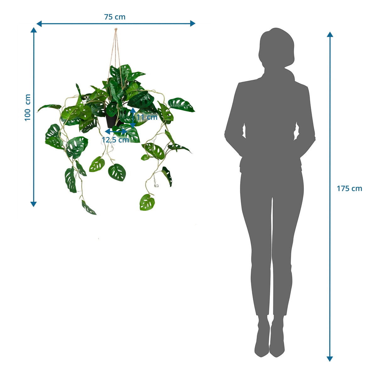 Maattekening van de kunstplant MONSTERA CLIMB met een totale hoogte van 100 cm van hjh OFFICE