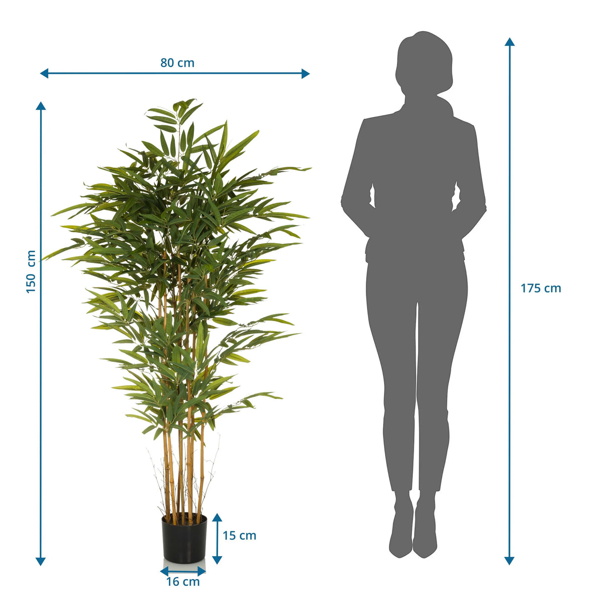 Maattekening van de Kunstplant BAMBUS II met een hoogte van 150 cm en breedte van 80 cm van hjh OFFICE