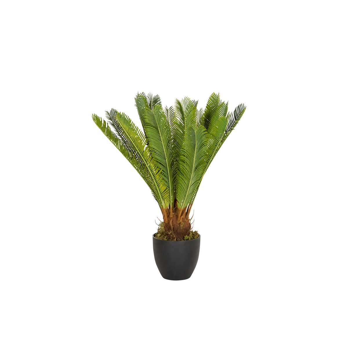 Groene Kunstplant CYCAS in een zwarte plantenpot van hjh OFFICE – 360-gradenweergave (vooraanzicht 0°)