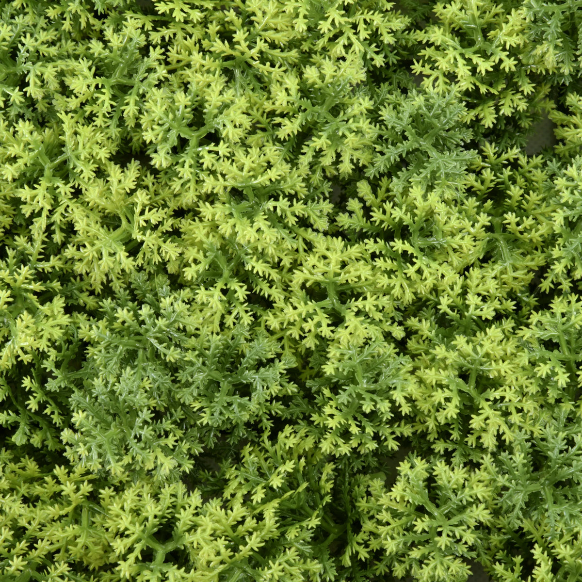 Groene textuur van de Plantmat LEAFLUXE 3 van hjh LIVING