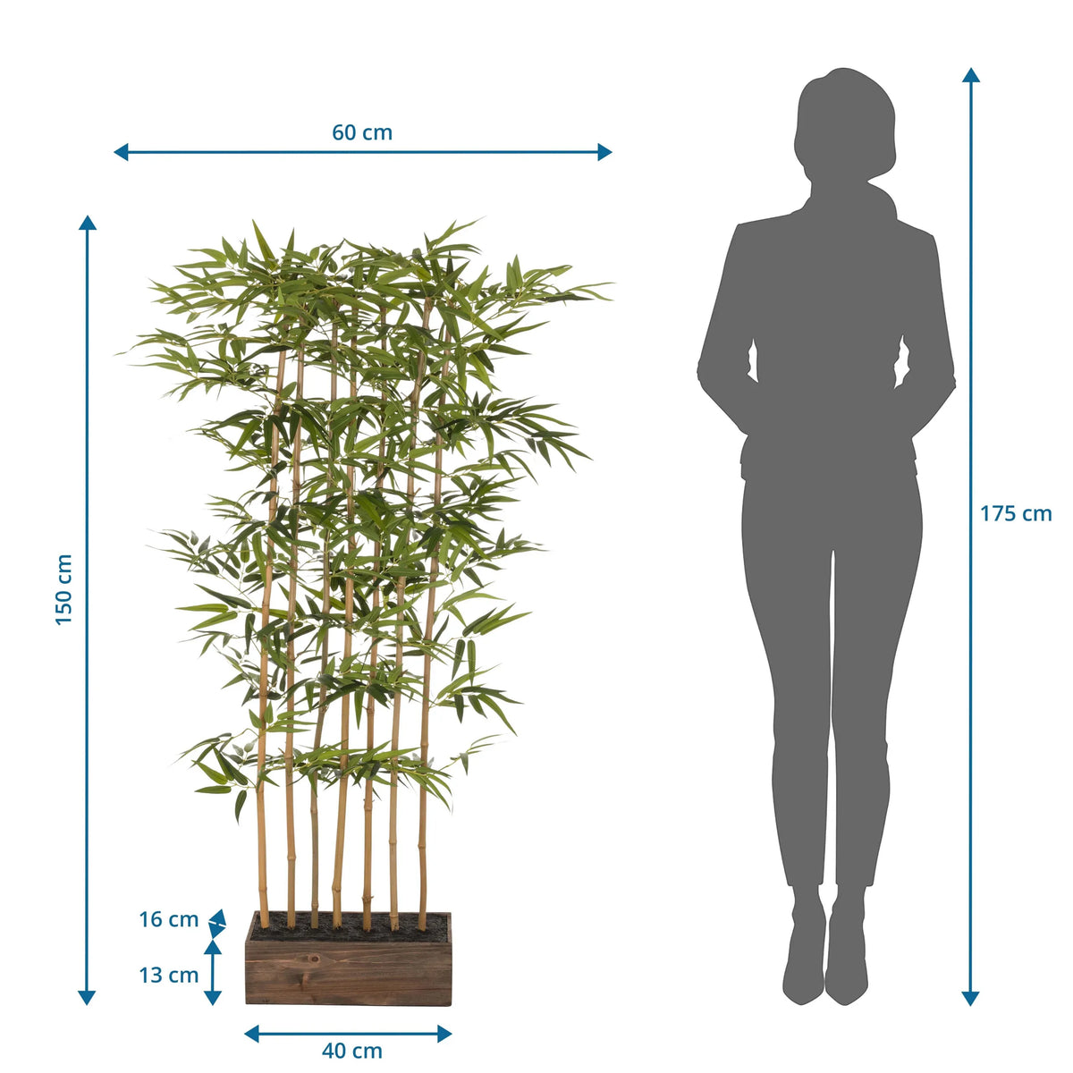 Maatafbeelding van de Kunstplant BAMBUS I met een hoogte van 150 cm en een breedte van 60 cm van hjh OFFICE