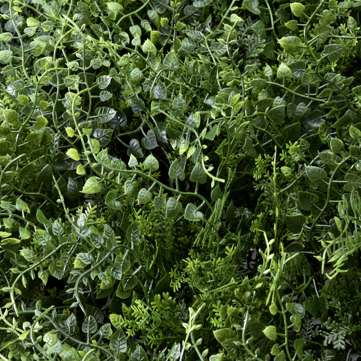 Groene bladeren van de LEAFLUXE 2 plantmat van hjh LIVING