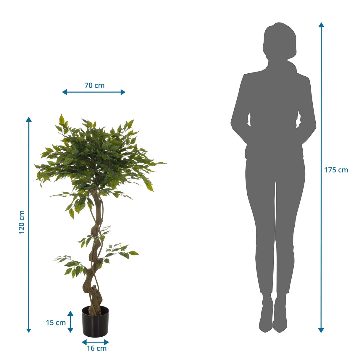 Maatafbeelding van de Kunstplant FICUS I met een hoogte van 120 cm en een breedte van 70 cm van hjh OFFICE