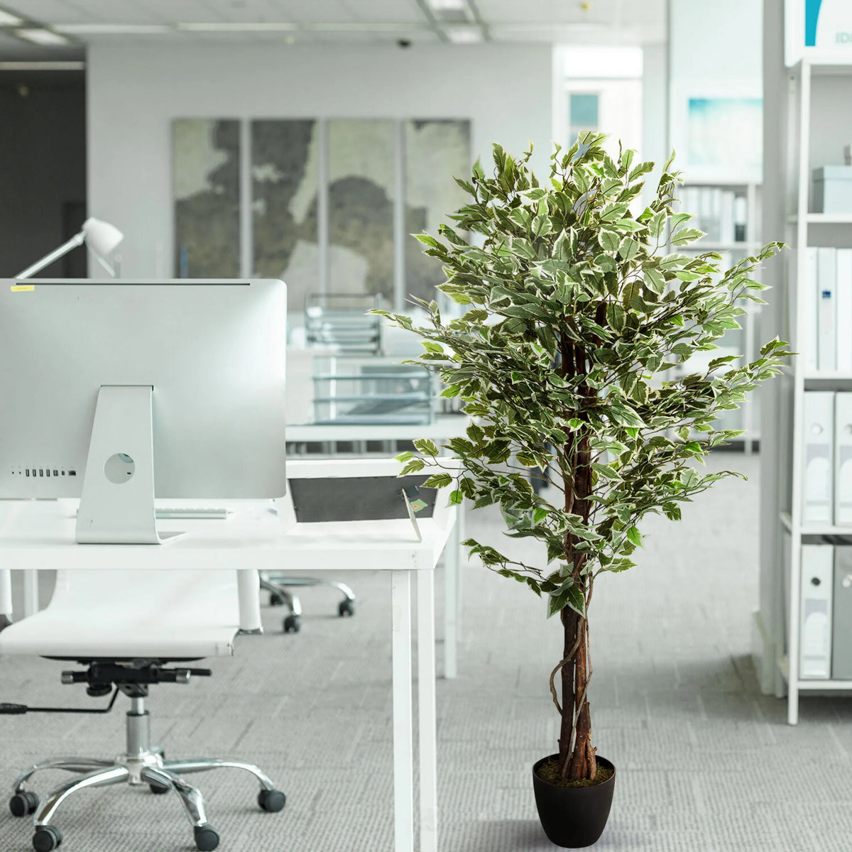 Groene kunstplant FICUS in een zwarte pot naast een bureau van hjh OFFICE