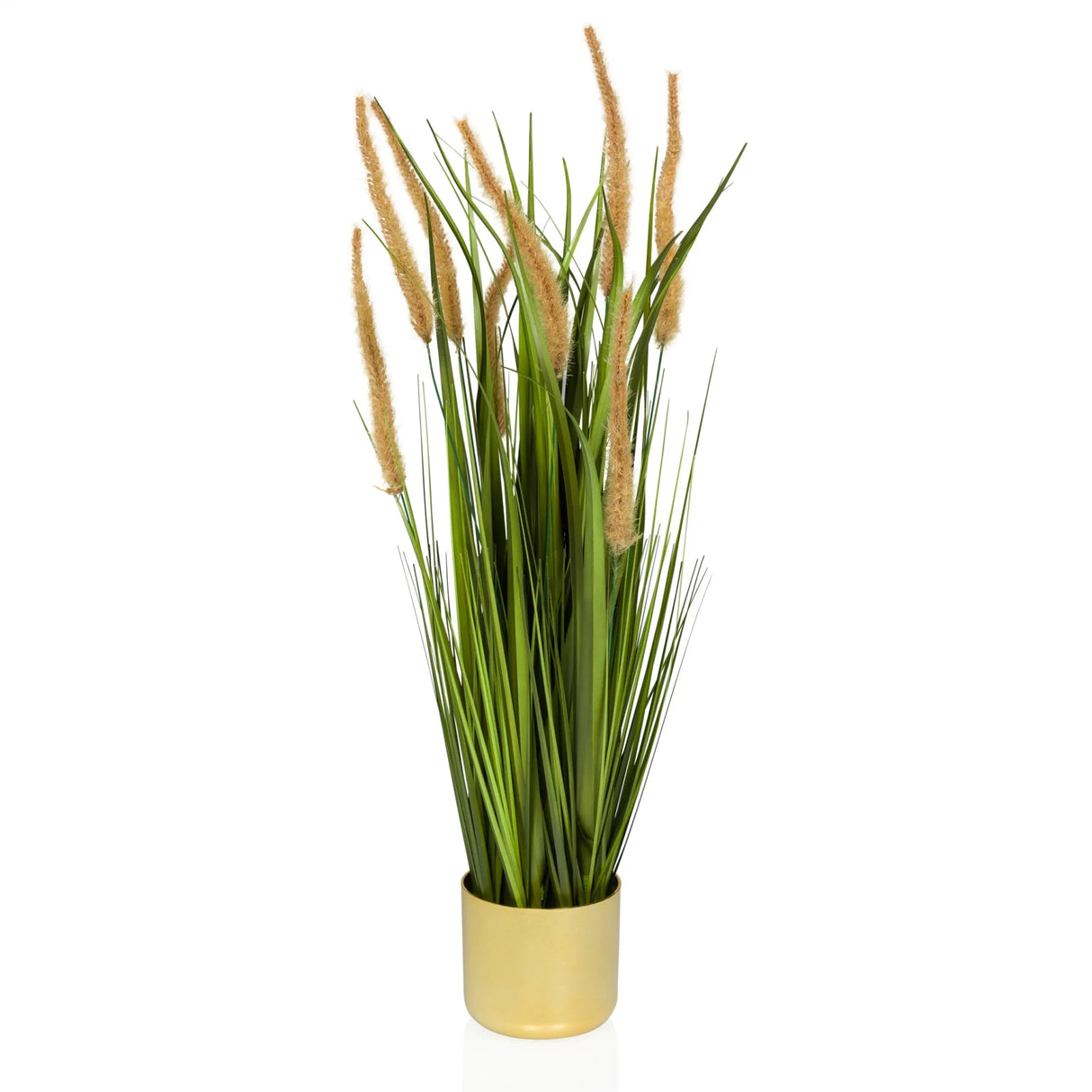 CORTADERIA I - Kunstplant