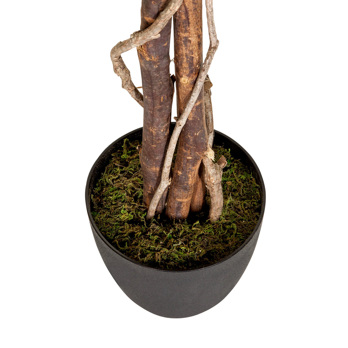 Stammen en pot met groen mos van de Kunstplant FICUS van hjh OFFICE