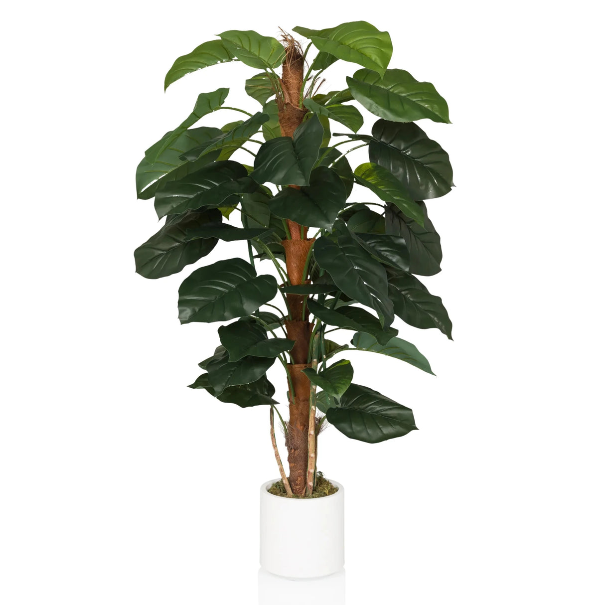 EPIPREMNUM - Kunstplant