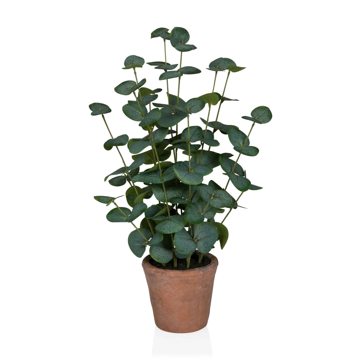 Eucalyptus - Kunstplant