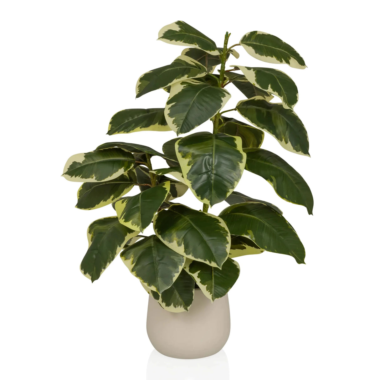 Ficus 3 - Kunstplant
