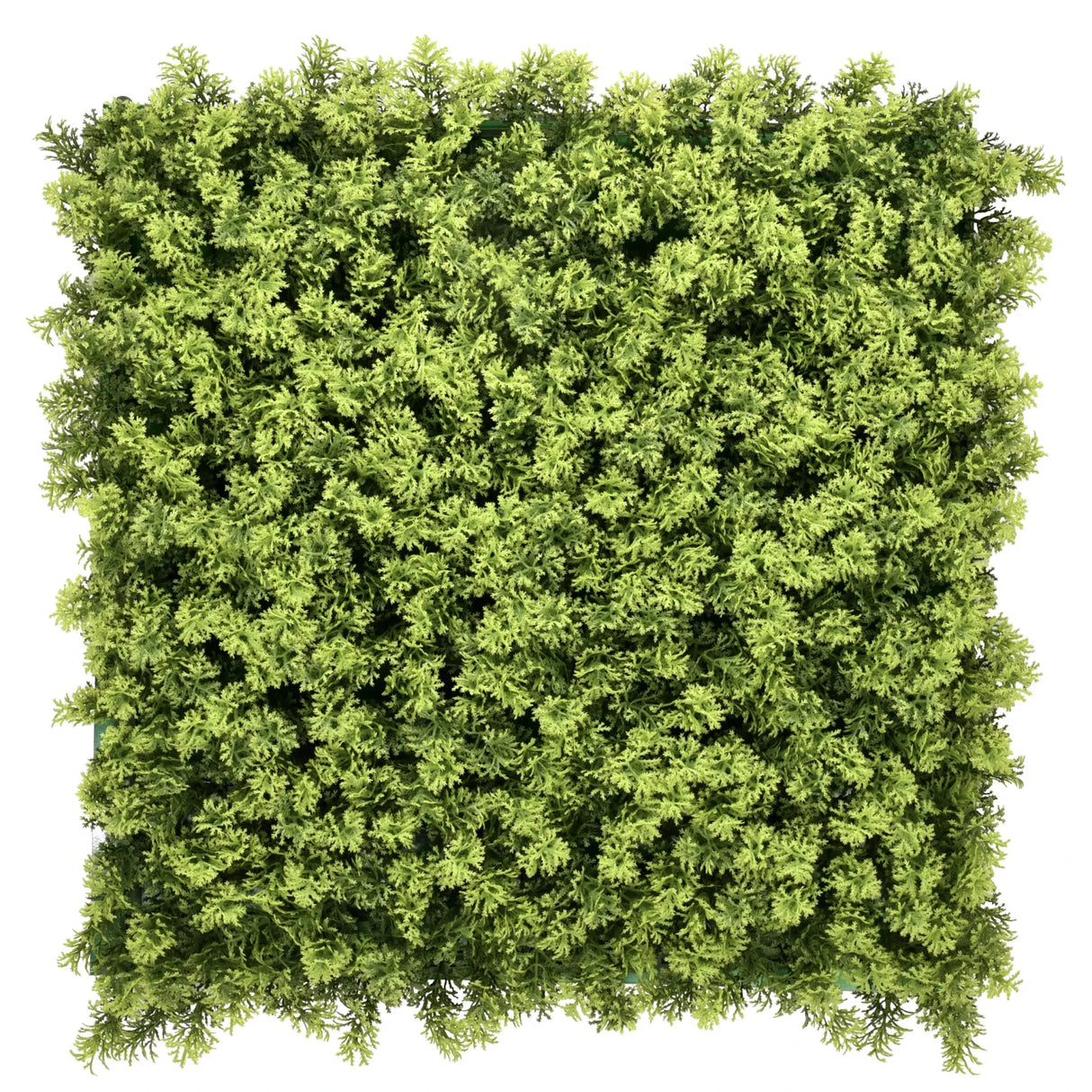 LEAFLUXE 3 - Plantmat