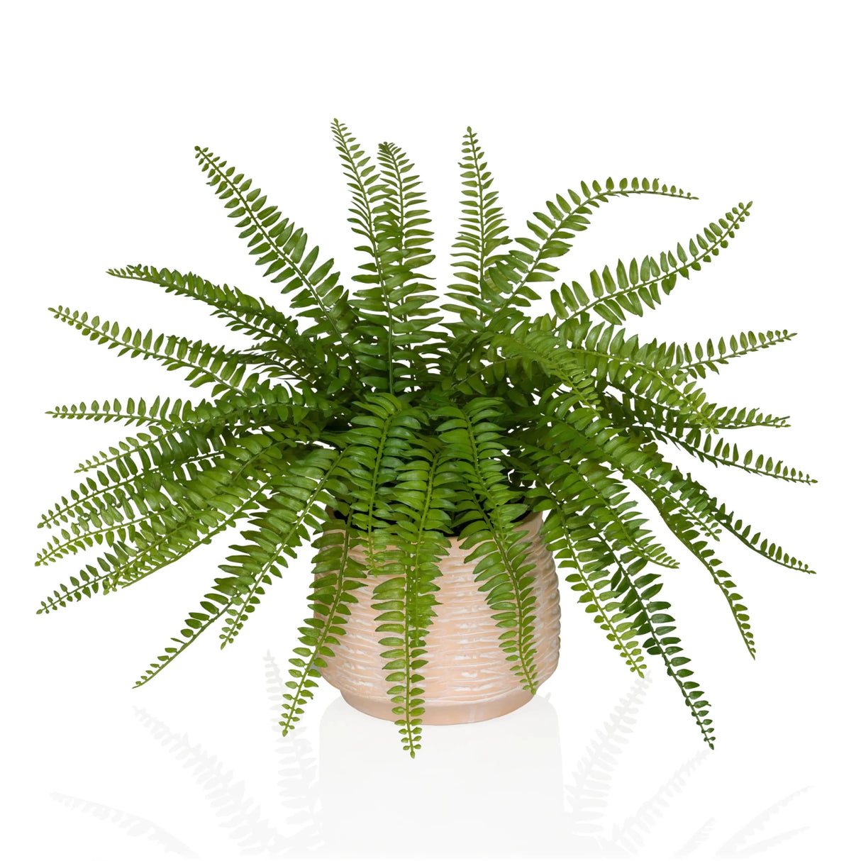 Proliferum - Kunstplant