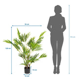 Maattekening van de Kunstplant ARECA I met een hoogte van 120 cm en breedte van 70 cm van hjh OFFICE