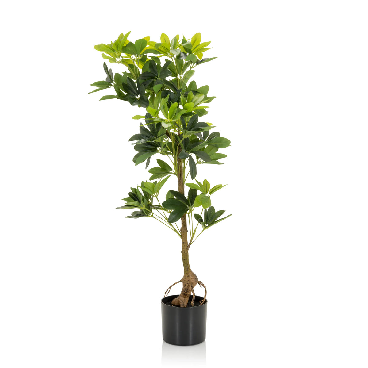 Groene Kunstplant SCHEFFLERA met vertakte takken in een zwarte pot van hjh OFFICE – 360-gradenweergave (vooraanzicht 0°)