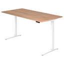 XBHM 2E WW | 200x100 | Bureau elektrisch in hoogte verstelbaar 