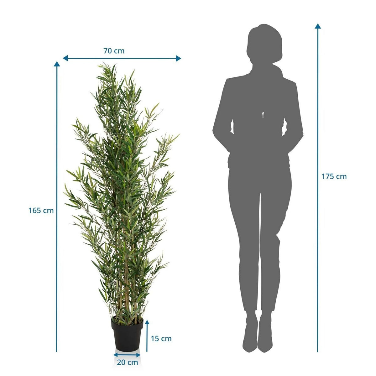 Maattekening van de Kunstplant BAMBUS met een hoogte van 165 cm en een breedte van 70 cm van hjh OFFICE