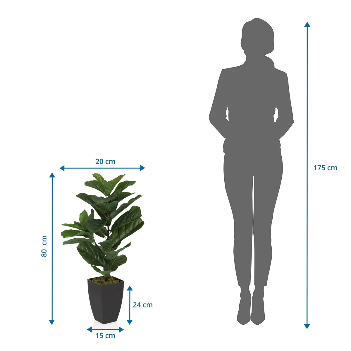 Maattekening van de Kunstplant LYRATA met een hoogte van 80 cm van hjh OFFICE