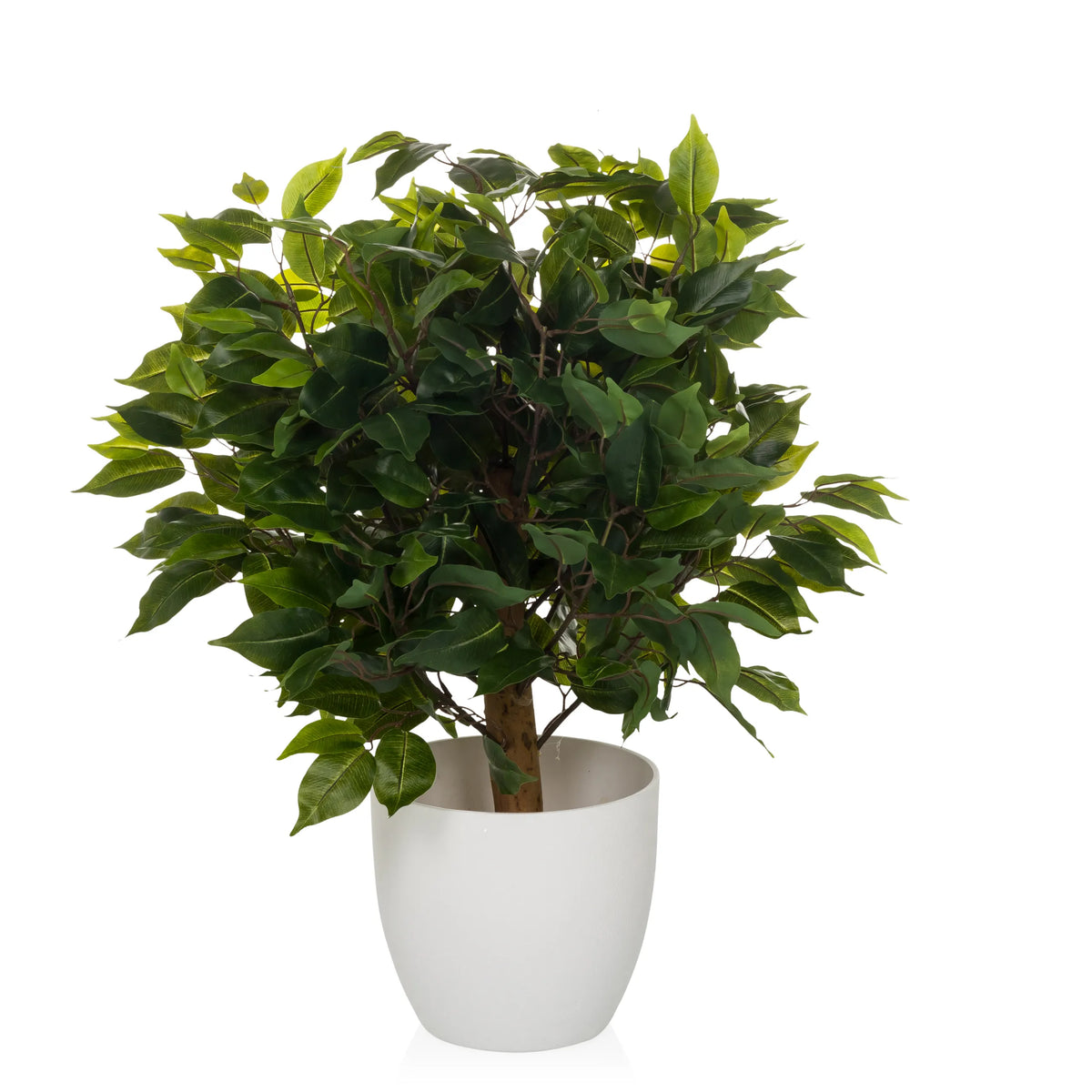 Groene Kunstplant FICUS II in een witte overpot van hjh OFFICE – 360-gradenweergave (zijaanzicht 90°)