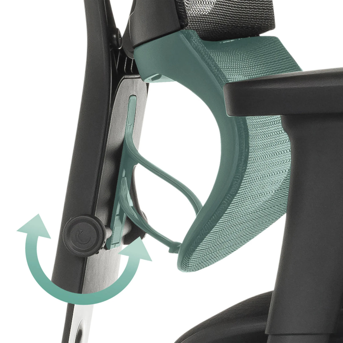 Verstelbaar mechanisme van de rugleuning van de luxe directiestoel ERGOHUMAN SLIM ECO F GEN2 van hjh OFFICE