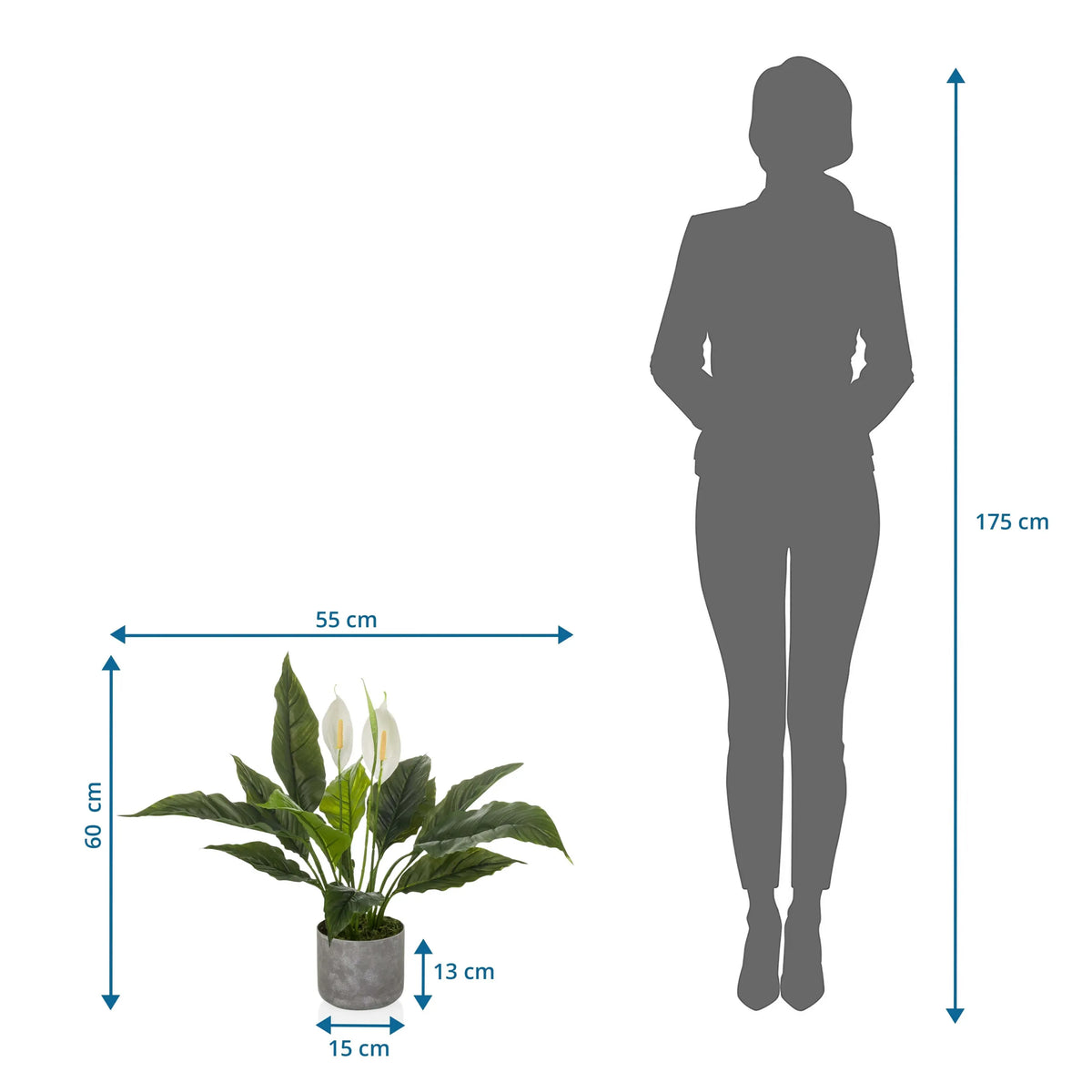 Maattekening van de Kunstplant Spathiphyllum 1 van 60 x 55 cm in vergelijking met een persoon van hjh OFFICE