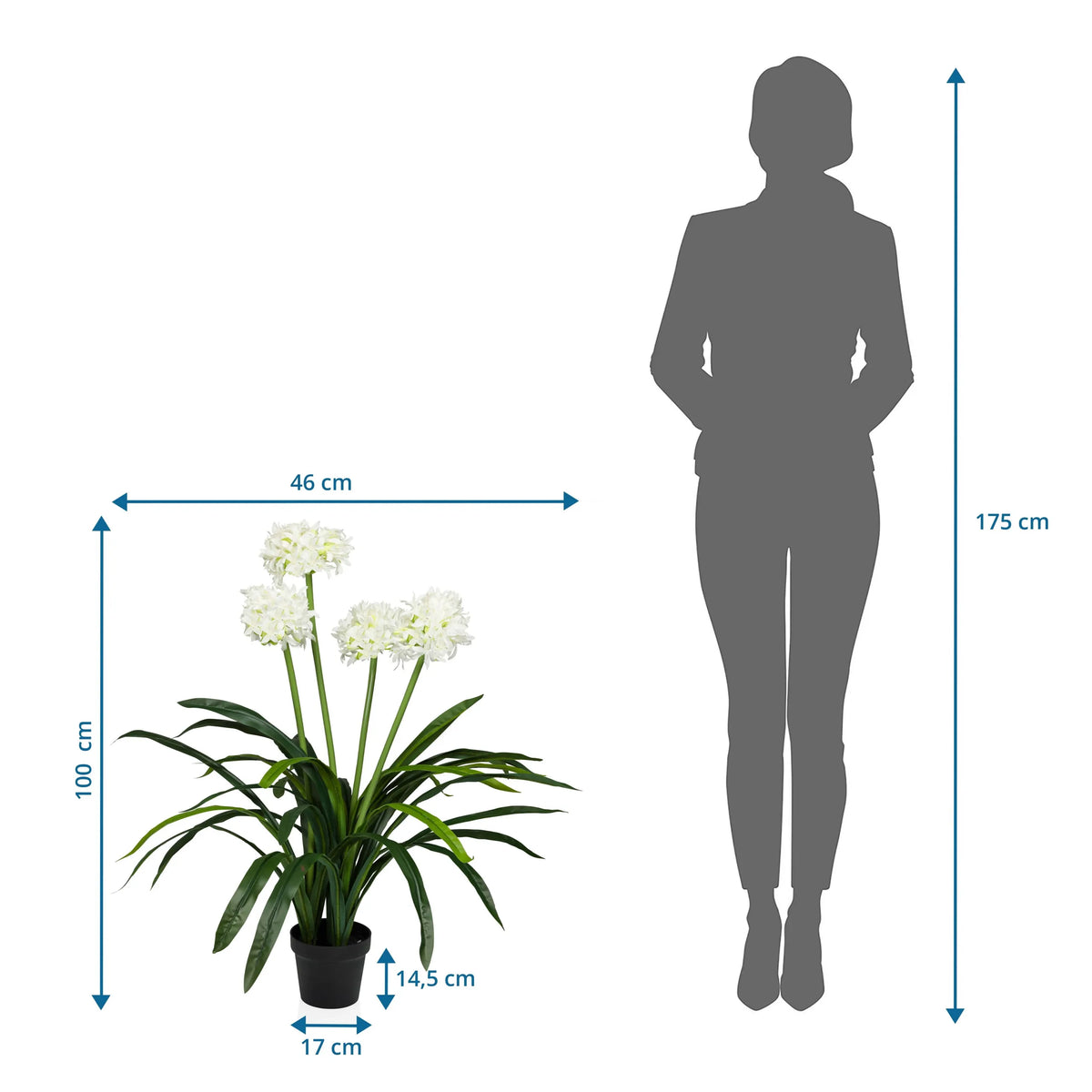 Maattekening van de Kunstplant AGAPANTHUS met een hoogte van 100 cm en breedte van 46 cm van hjh OFFICE