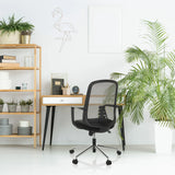 Schwarzer Homeoffice-Bürostuhl SEDIOLO B mit Netzrückenlehne und Armlehnen von hjh OFFICE